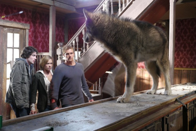 Kurt Şehri fotoğrafı