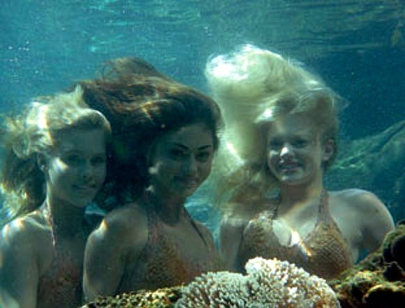 H2o: Just Add Water Fotoğrafı