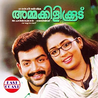 Ammakilikkoodu (2003) afişi