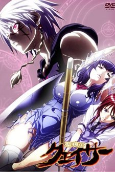 Seikon No Qwaser (2010) afişi