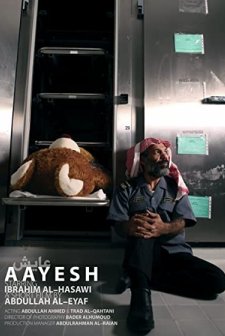 Aayesh (2010) afişi