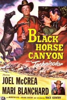 Black Horse Canyon (1954) afişi