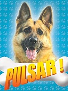 Pulsar (2008) afişi