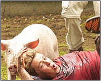 Dr. Dolittle 3 fotoğrafı