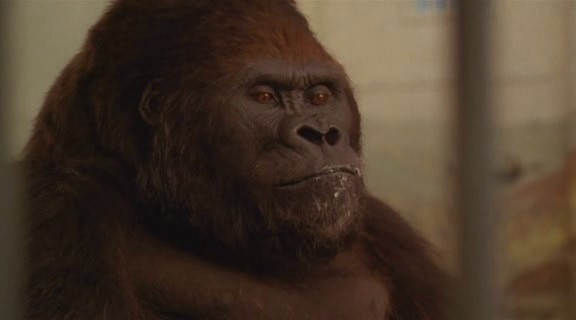 Bebek Firarda Fotoğrafı