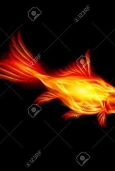 A Goldfish Of The Flame (2010) afişi
