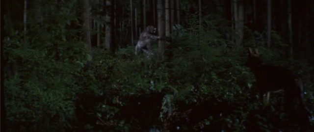 Bad Moon Fotoğrafı