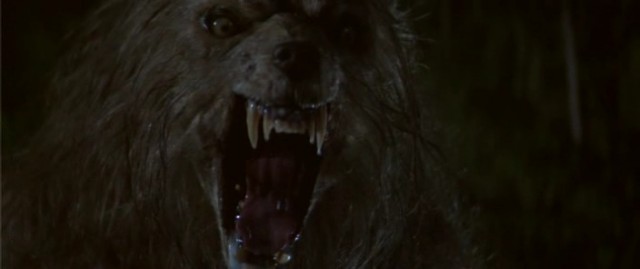 Bad Moon Fotoğrafı