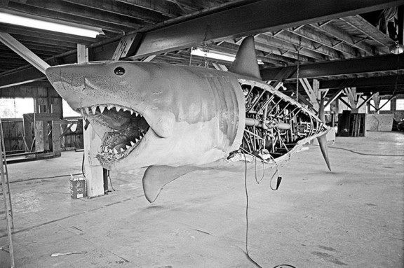 Jaws Fotoğrafı