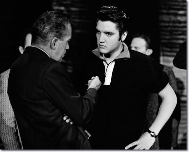 Toast Of The Town Fotoğrafı