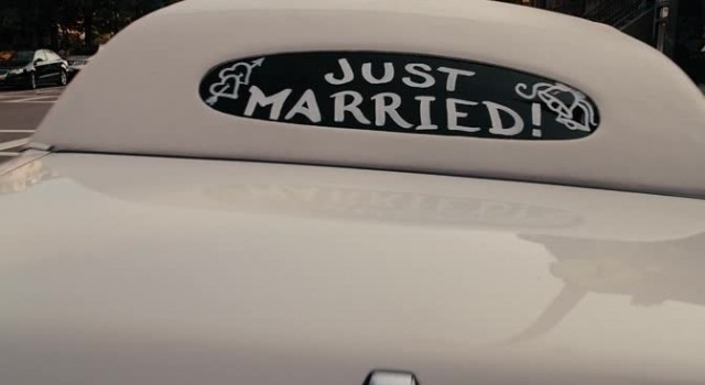 Ayı Teddy Fotoğrafı