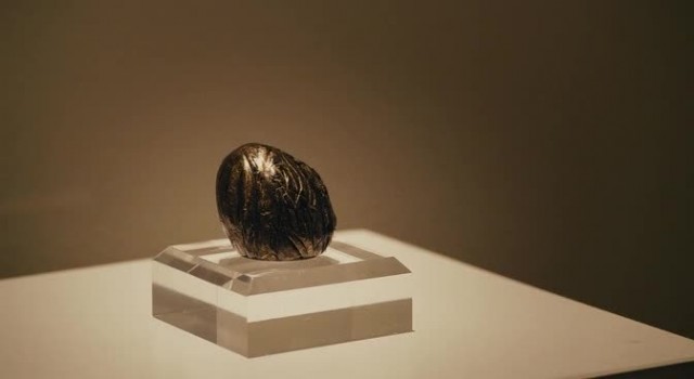 Ayı Teddy Fotoğrafı