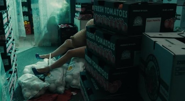 Ayı Teddy Fotoğrafı