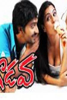 Godava (2007) afişi