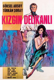 Kızgın Delikanlı (1964) afişi