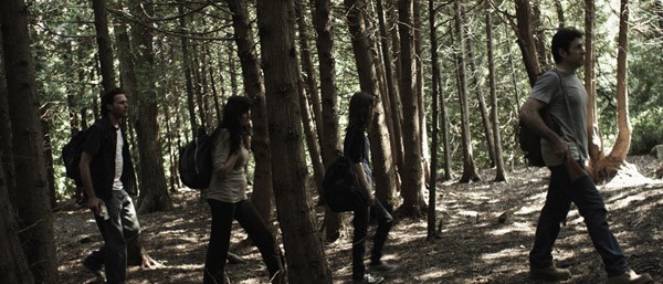 The Collapsed Fotoğrafı