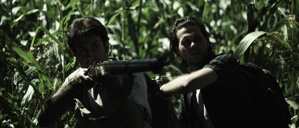 The Collapsed Fotoğrafı