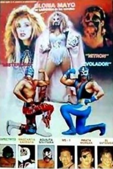 All-Star Güreşi (1992) afişi