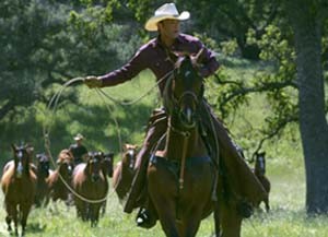 My Friend Flicka Fotoğrafı