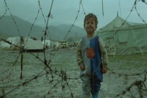 Kaplumbağalar da Uçar Fotoğrafı