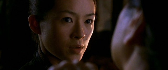 Kaplan ve Ejderha Fotoğrafı