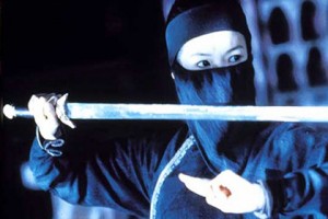 Kaplan ve Ejderha Fotoğrafı