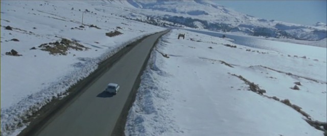 The Appeared Fotoğrafı