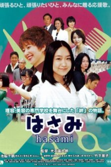 Hasami (2011) afişi