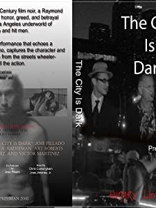 The City Is Dark (2010) afişi