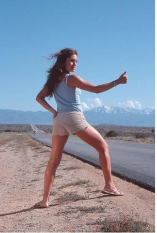 Desert Fox Fotoğrafı