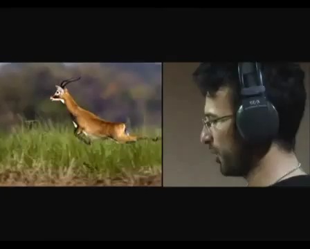 Büyük Göçler Fotoğrafı