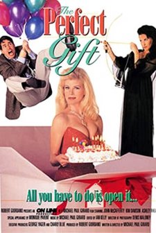 Perfect Gift (1994) afişi