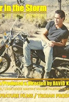Shelter In The Storm (1987) afişi