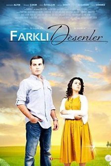 Farklı Desenler (2010) afişi
