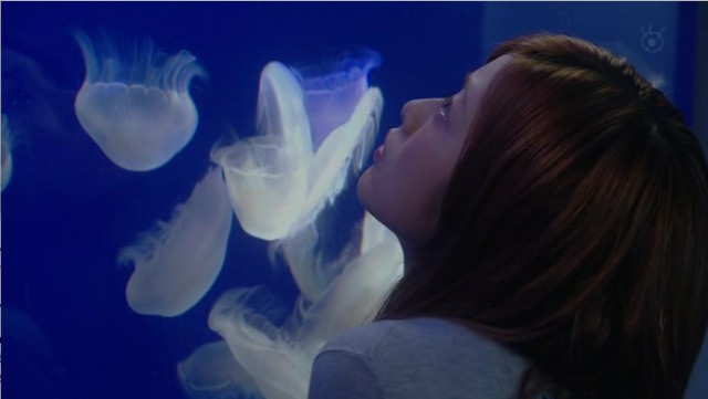 Shooting Star fotoğrafı