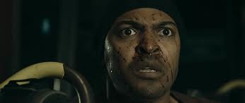 Köpek Evi Fotoğrafı