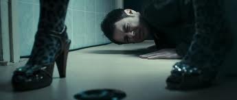 Köpek Evi Fotoğrafı