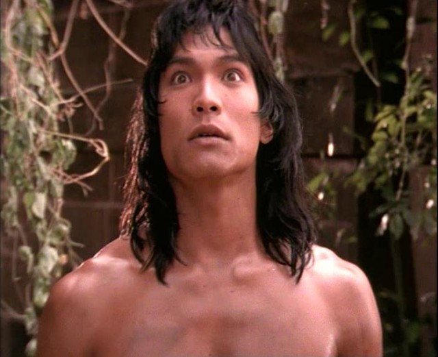 Ormanın Kitabı fotoğrafı