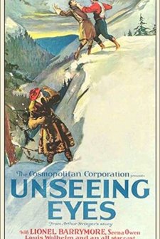 Unseeing Eyes (1923) afişi