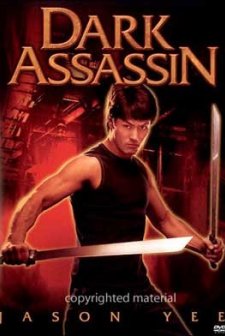 Karanlık Savaşçısı (2006) afişi