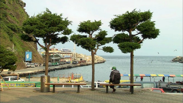 Happy Ulleung Man Fotoğrafı