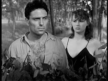 Acı Pirinç Fotoğrafı