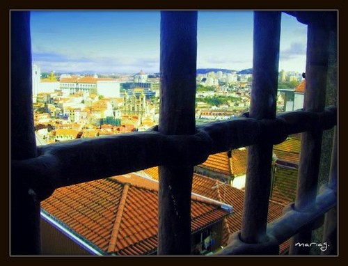 Um Amor De Perdição fotoğrafı