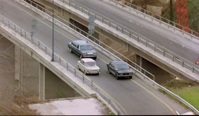 Macaroni Fotoğrafı