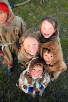 The Final Tundra (2011) afişi