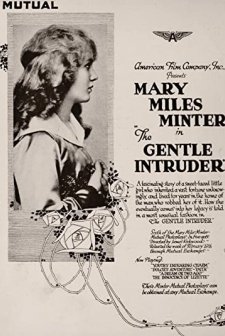 The Gentle ıntruder (1917) afişi