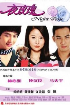 Evening Of Roses (2009) afişi