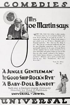 A Jungle Gentleman (1919) afişi