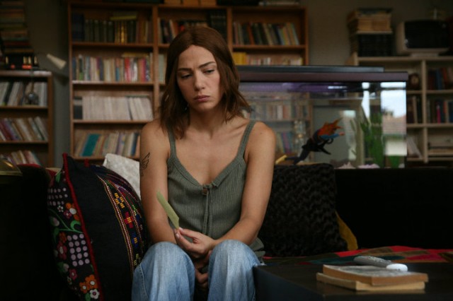 İncir Reçeli Fotoğrafı