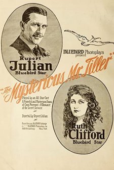 The Mysterious Mr. Tiller (1917) afişi